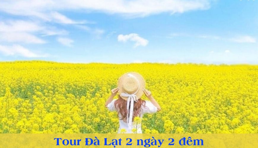 Joytrip chuyen ban combo du lich, ve may bay, phong khach san