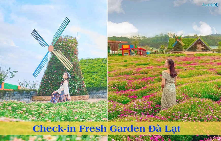 TOUR ĐÀ LẠT 2 NGÀY 2 ĐÊM