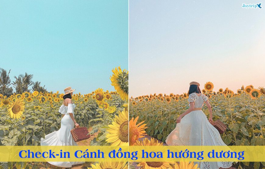 TOUR ĐÀ LẠT 3 NGÀY 3 ĐÊM – Xe Giường Nằm