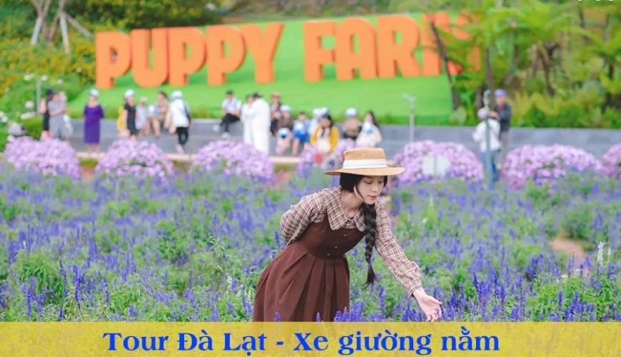 Joytrip chuyen ban combo du lich, ve may bay, phong khach san