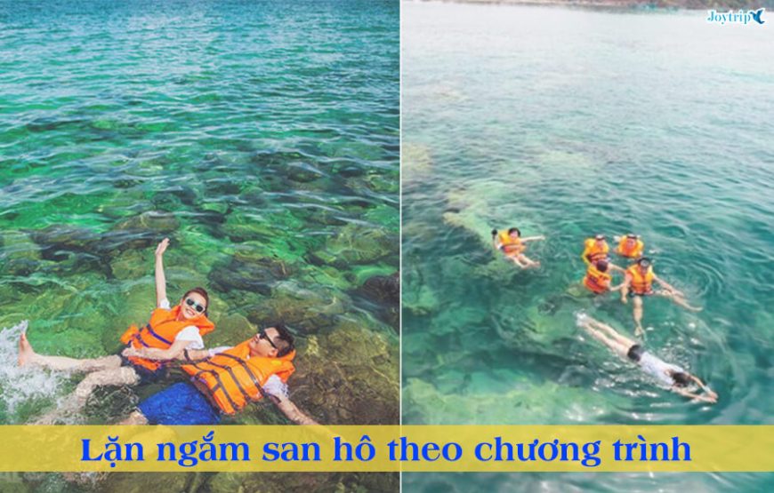 TOUR ĐẢO NAM DU