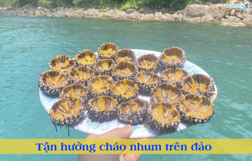 TOUR ĐẢO NAM DU